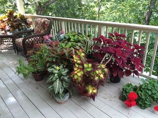 Bill Hickman’s porch color scheme.